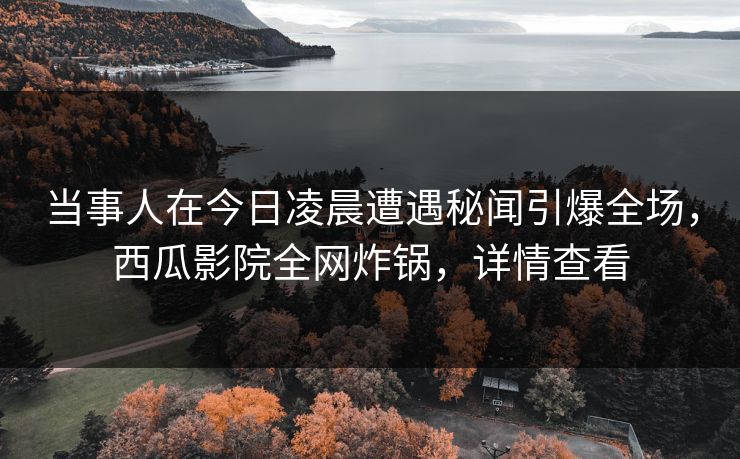 当事人在今日凌晨遭遇秘闻引爆全场,西瓜影院全网炸锅,详情查看 当事人在今日凌晨遭遇秘闻引爆全场,西瓜影院全网炸锅,详情查看